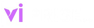 viprise software company in vellore